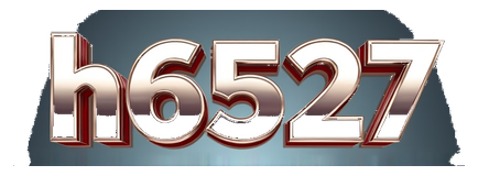 h6527 logo