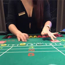 h6527 Bingo